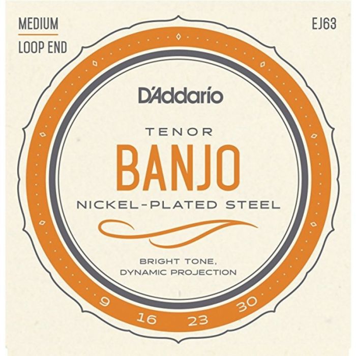 D'Addario EJ63 Tenor Banjo Set