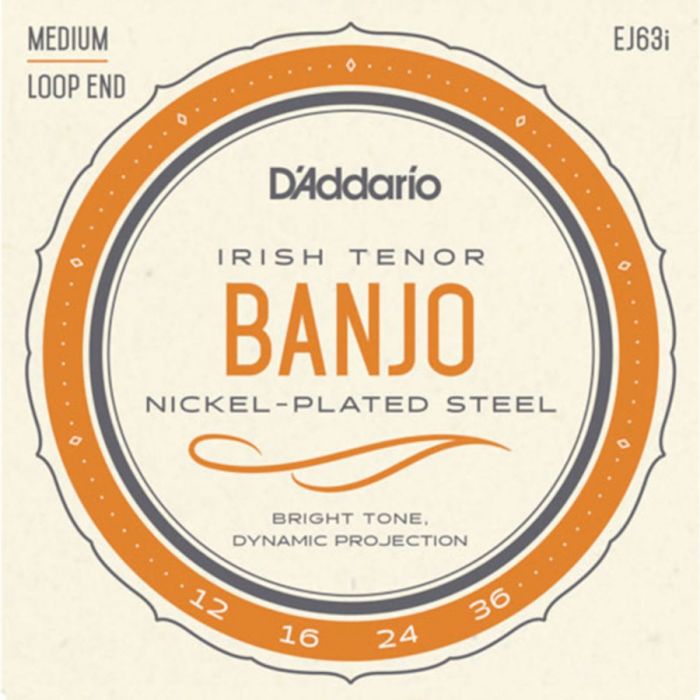 D'Addario EJ63I  Ierse Tenor Banjo Set 12-36