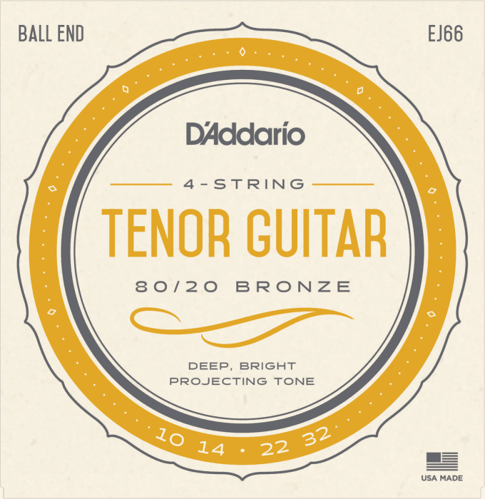 D'Addario EJ10 80/20 Bronze Extra Light