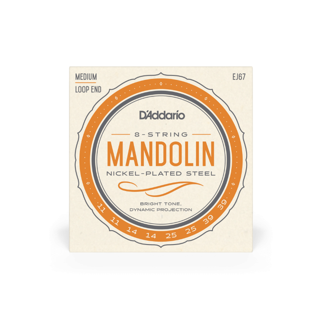 D'Addario EJ67 Mandoline snaren set