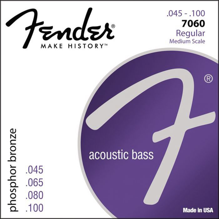 Fender F-7060 Bassnaren Akoestische Basgitaar .045/.100 Medium Scale 32"