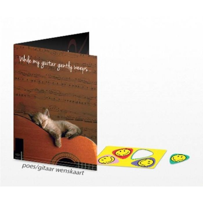 PikCard Plectrum (4x) Wenskaart Kat Gitaar