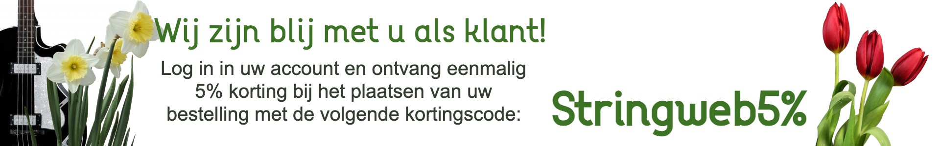 home slider stringweb